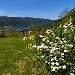 Orlik - Goscinne *