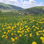 Orlik - Goscinne