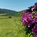 Orlik - Goscinne * Uscie Gorlickie