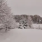 Rum i privatbostad Orlik - Goscinne *