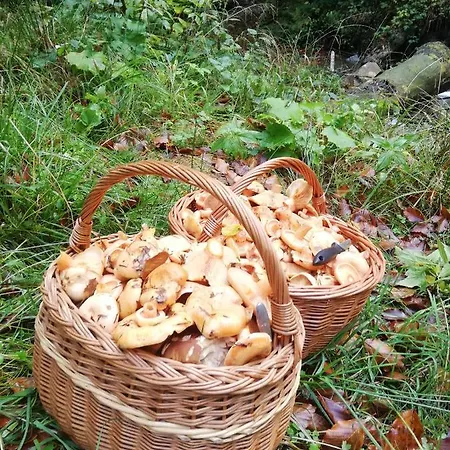 Orlik - Goscinne Privatunterkunft Uscie Gorlickie