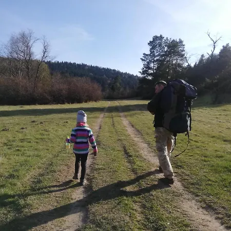 Orlik - Goscinne