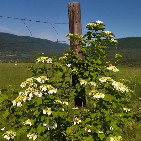 Privatunterkunft Orlik - Goscinne