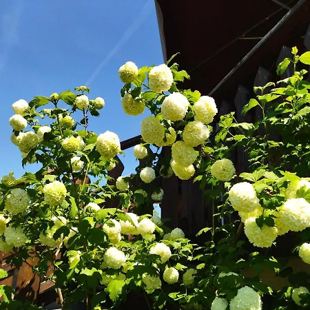 Homestay Orlik - Goscinne