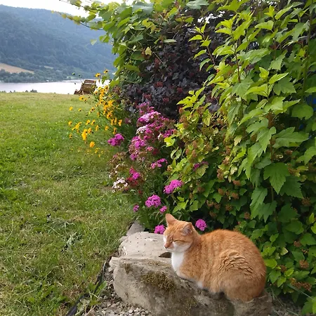 Orlik - Goscinne Homestay *