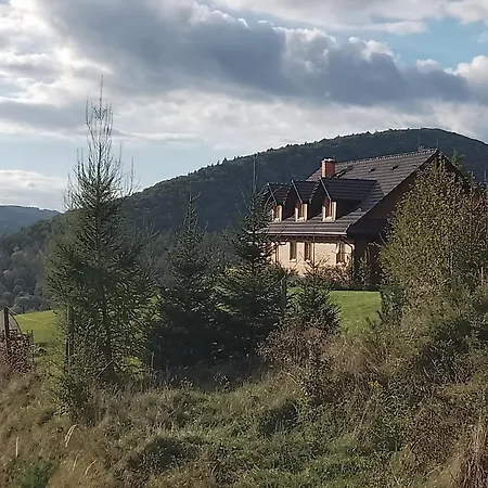 Orlik - Gościnne