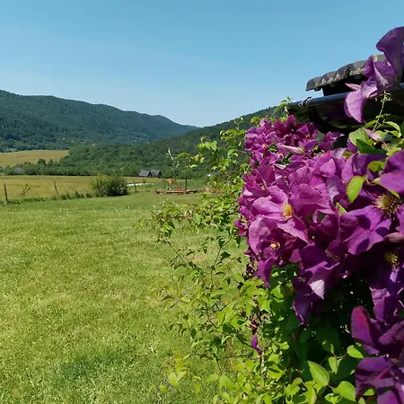 Orlik - Goscinne * Uscie Gorlickie