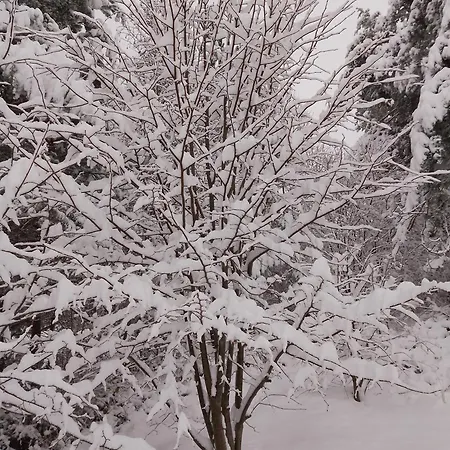 Orlik - Gościnne Uscie Gorlickie