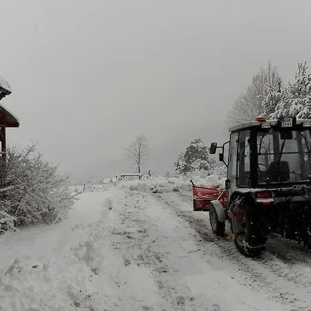 Orlik - Goscinne Uscie Gorlickie