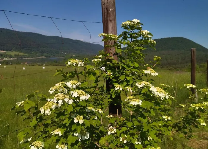 Privat bolig Orlik - Goscinne